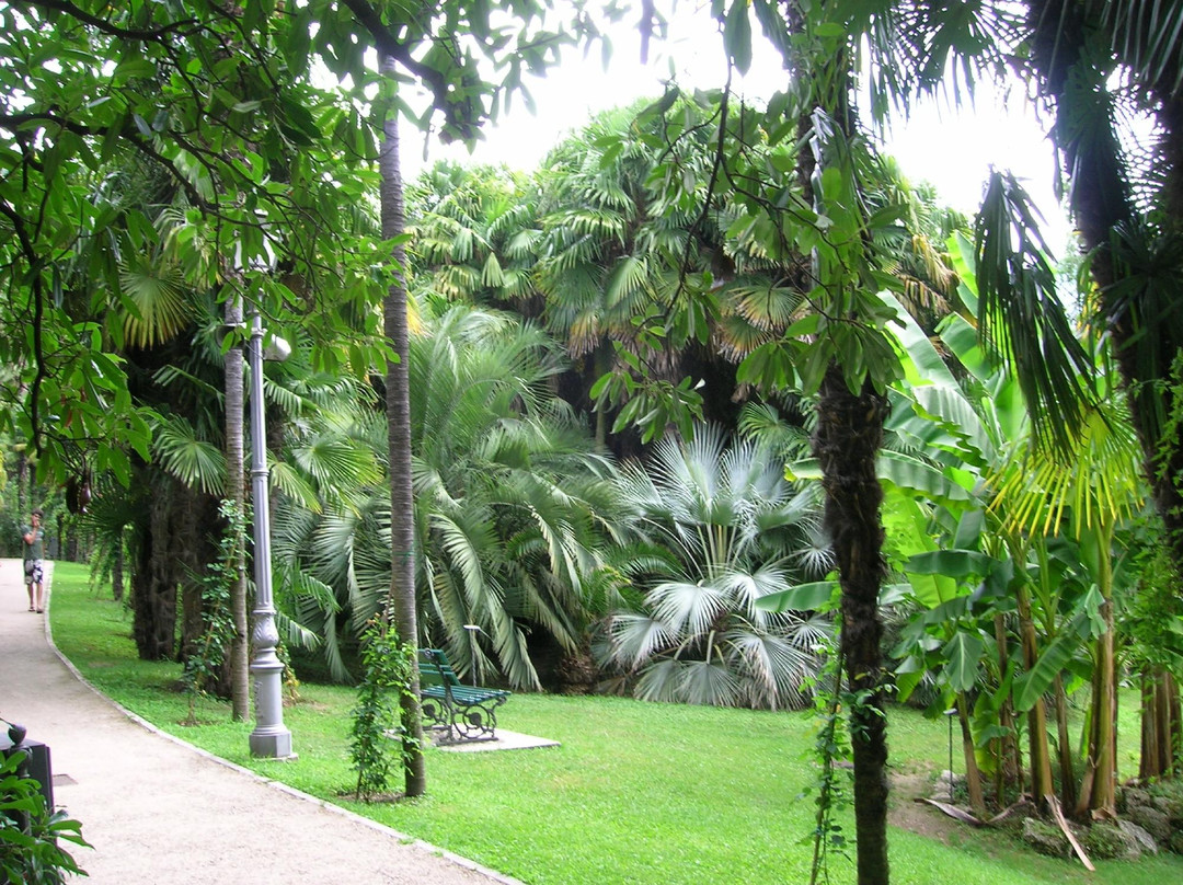 Arboretum of Arco景点图片