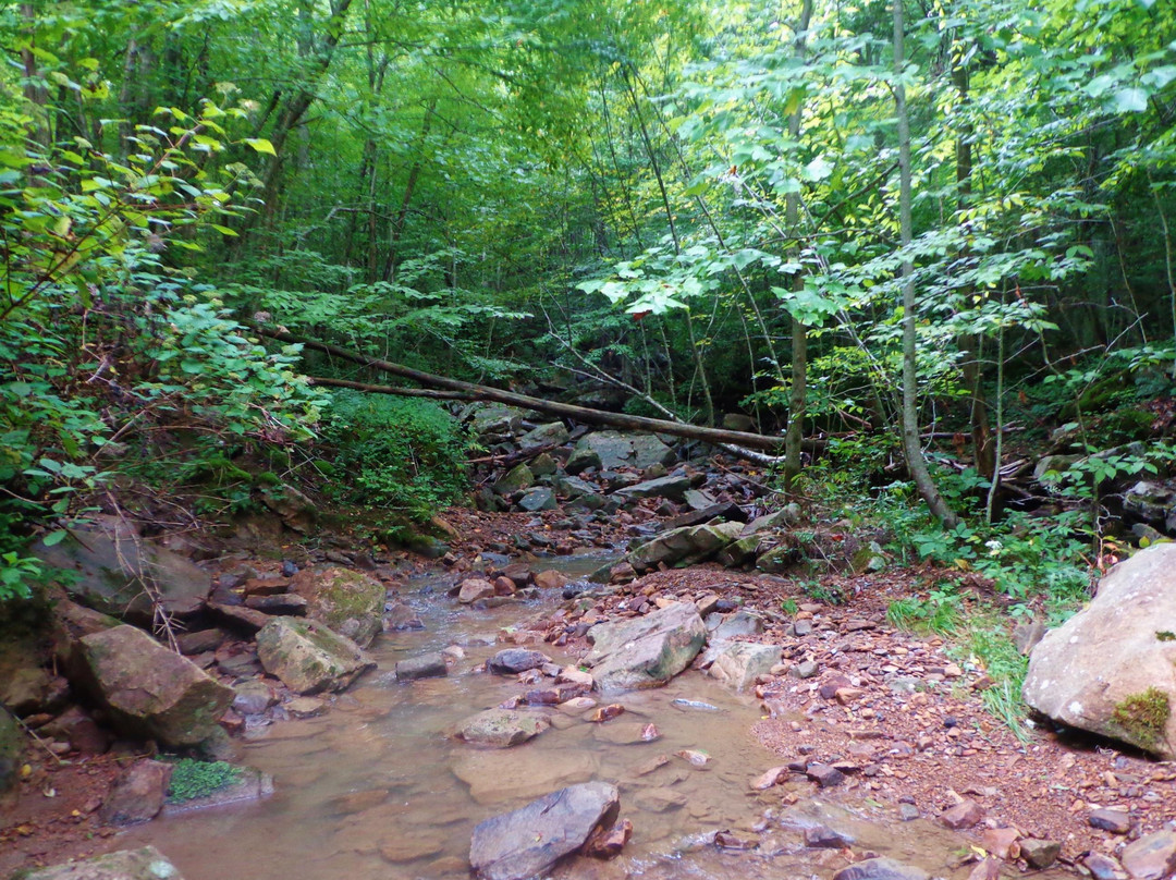 Coal Creek Motor Discovery Trail-橡树岭必去景点