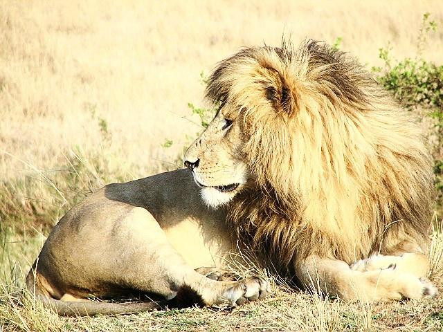 Sunworld Safaris-内罗毕必去景点