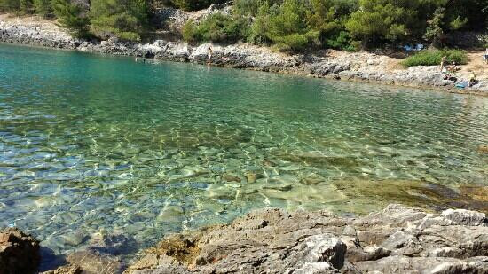 The Lošinj Aromatic Garden景点图片