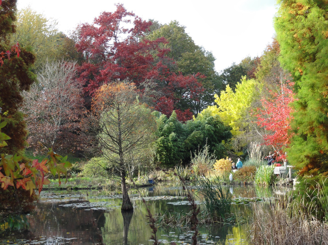Sir Harold Hillier Gardens景点图片