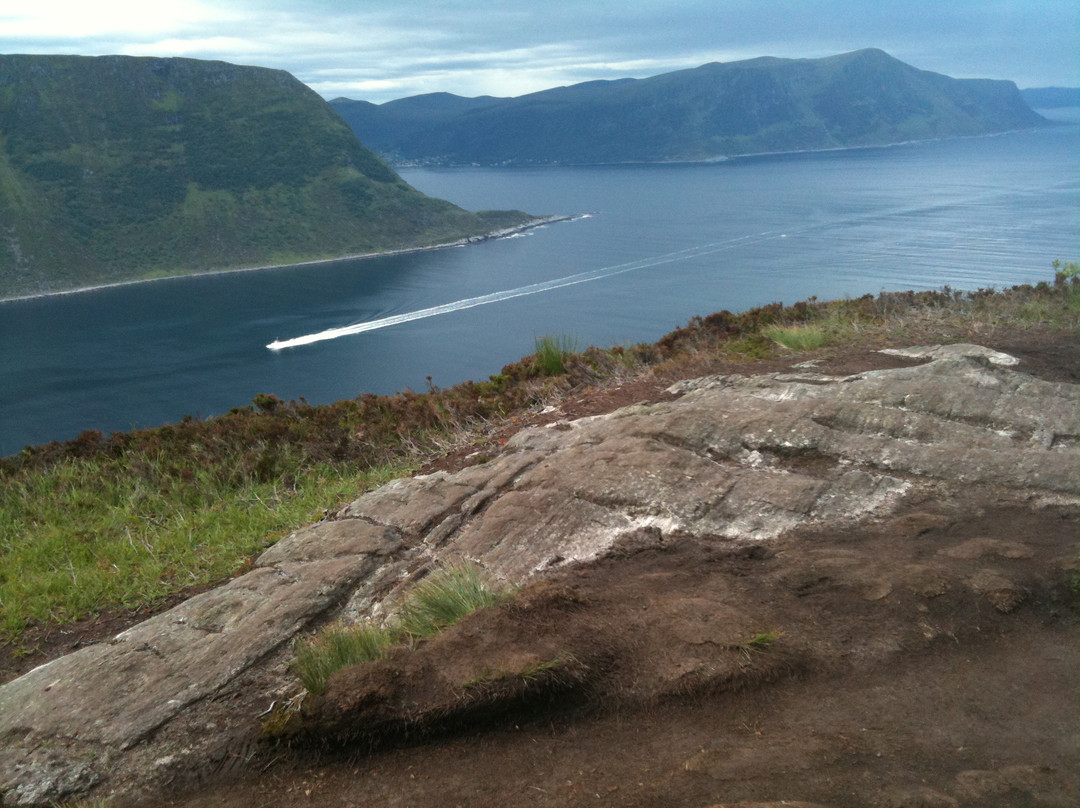 Hike Sukkertoppen the Sugar Top景点图片