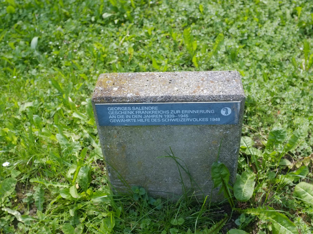 Schuetzenmattpark-巴塞尔必去景点