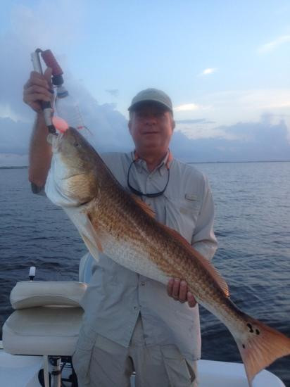 Pelican State Fishing Charters - Day Tours景点图片