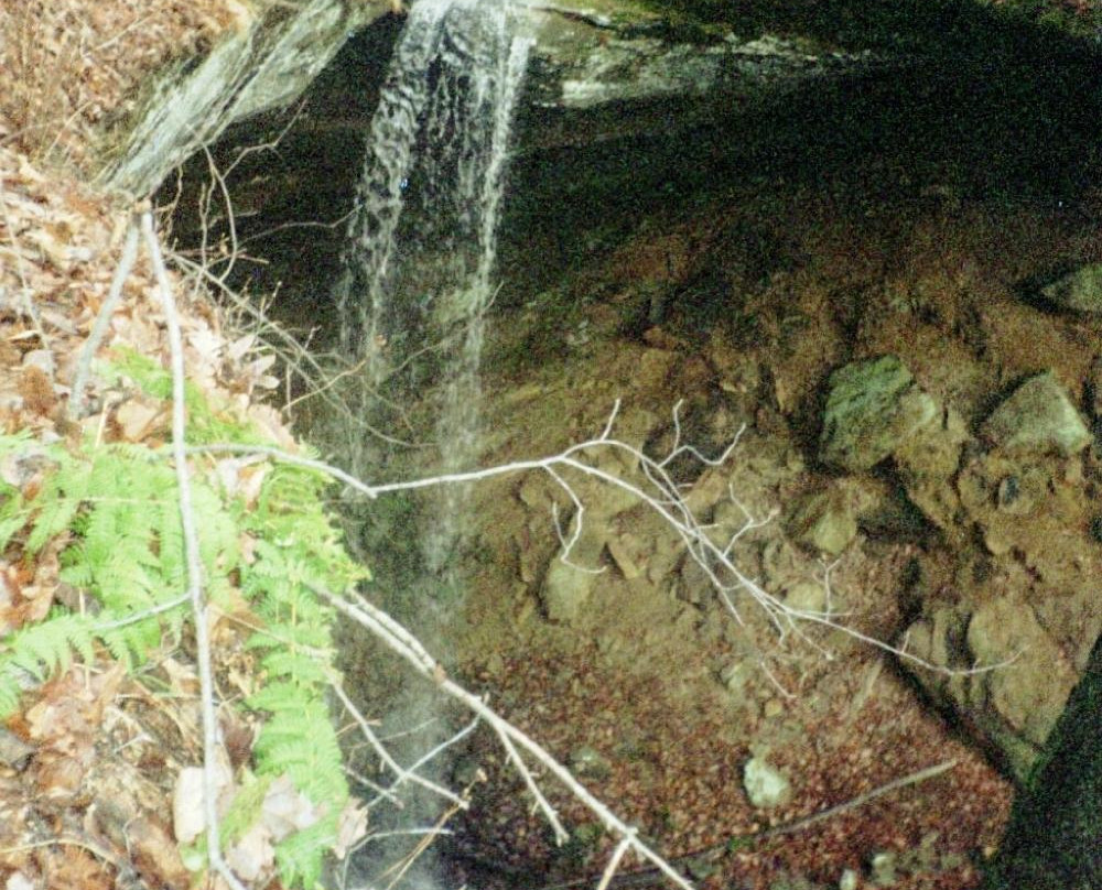 Blue Moon Acres-Laurelville必去景点