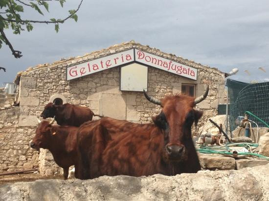 Castello di Donnafugata-Donnafugata必去景点