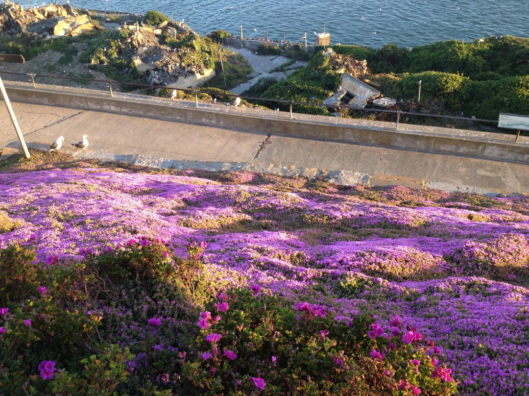 Alcatraz City Cruises-旧金山必去景点