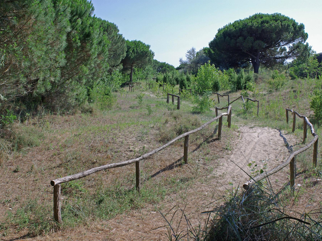 Riserva Naturale Ca' Roman-Pellestrina必去景点