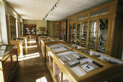 Musee d'Histoire Naturelle Philadelphe Thomas景点图片