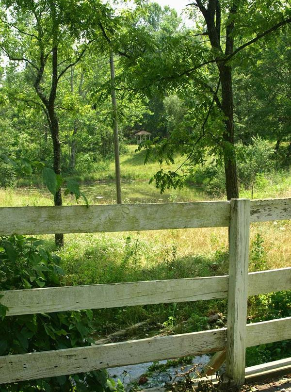 Shenandoah Manor Bed and Breakfast主图