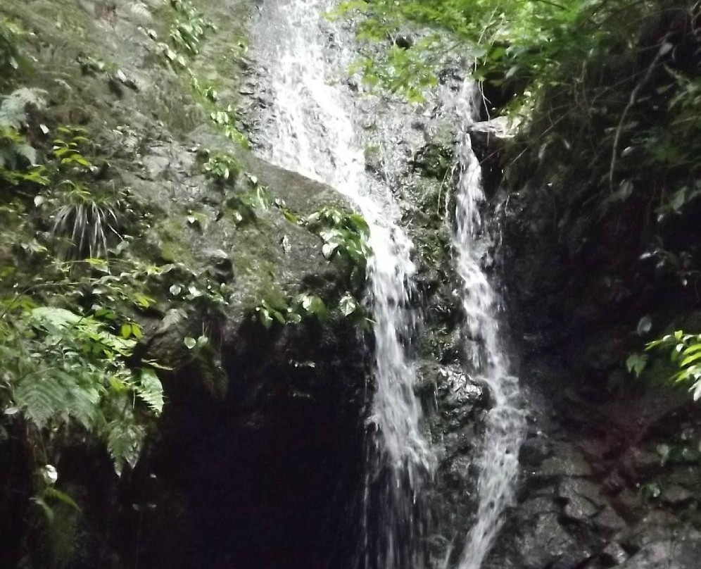 Iwawakidera Temple-河内长野市必去景点