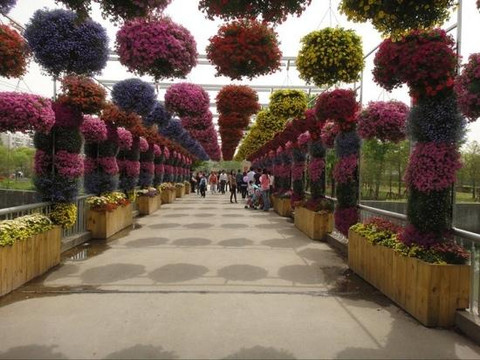 上海植物园-上海市必去景点