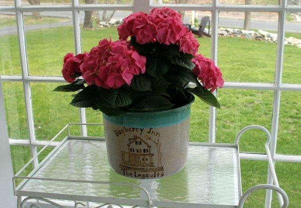 Bayberry Inn Bed and Breakfast-客卧