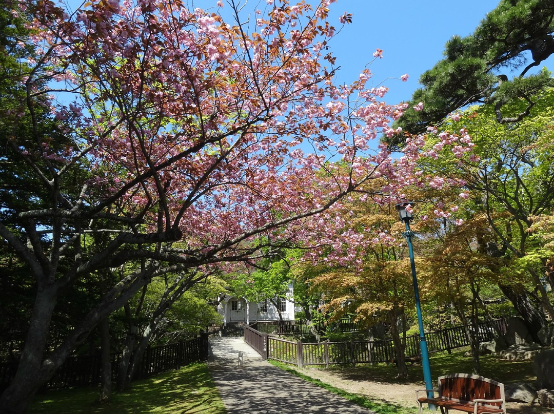 函馆公园-函馆市必去景点