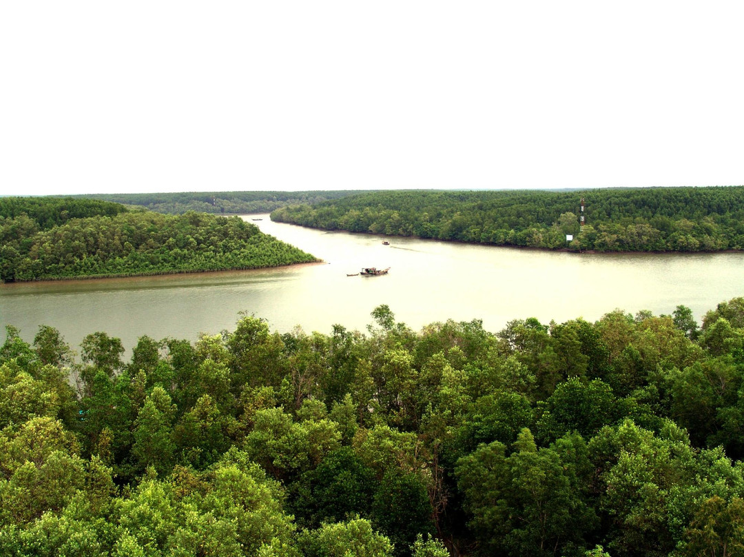Vam Sat Salt-Marsh Forest Ecological Tourist Center-胡志明市必去景点