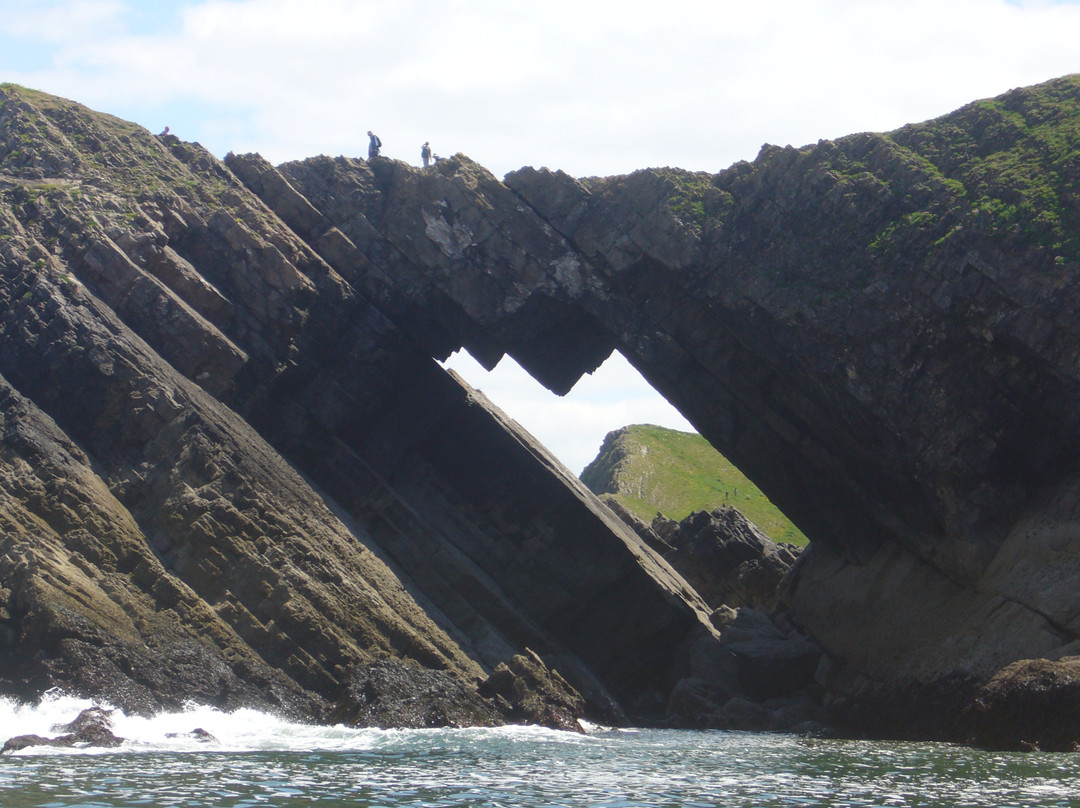 Gower Coast Adventures景点图片