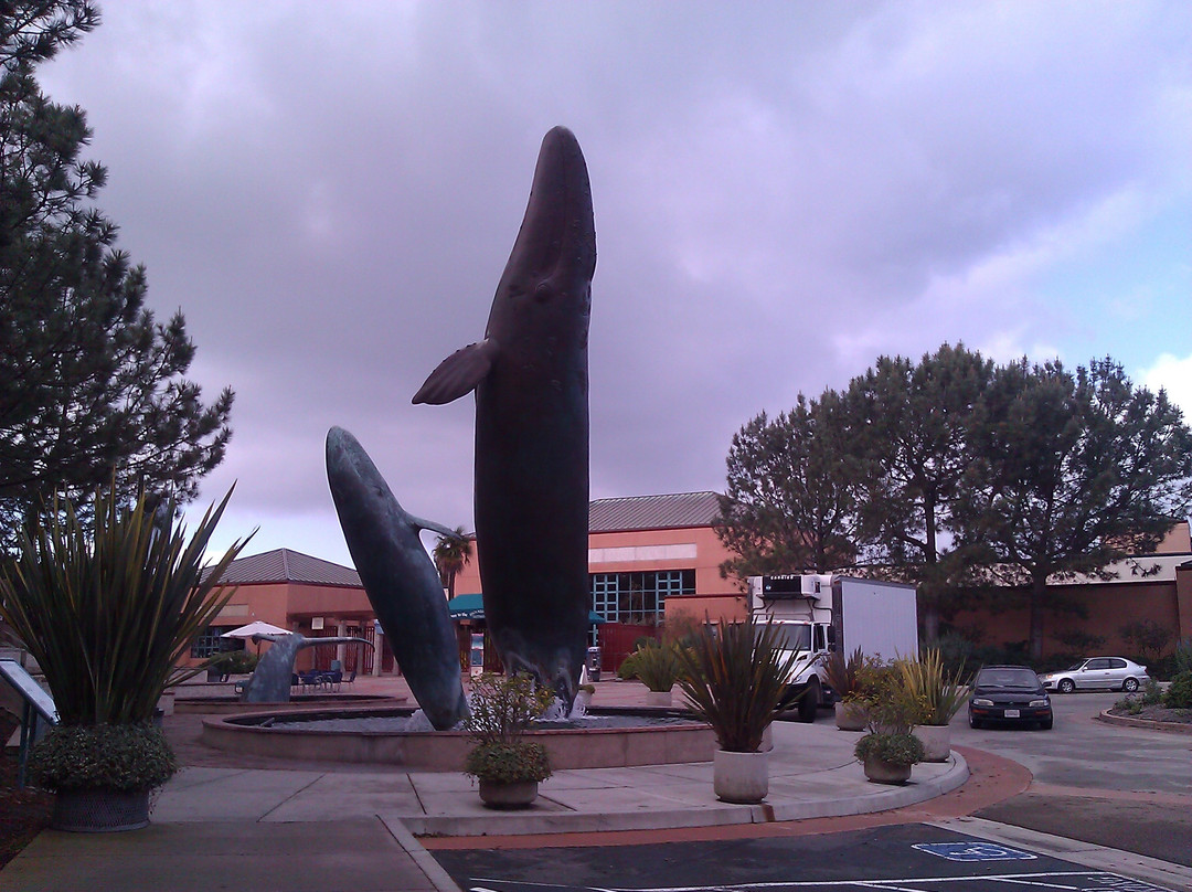 圣地亚哥海洋世界-拉荷亚必去景点