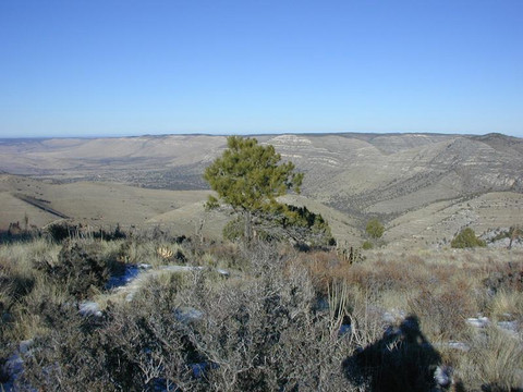 Dog Canyon-Guadalupe Mountains National Park必去景点