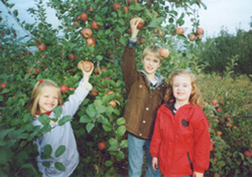 Mt Airy Orchards-Dillsburg必去景点