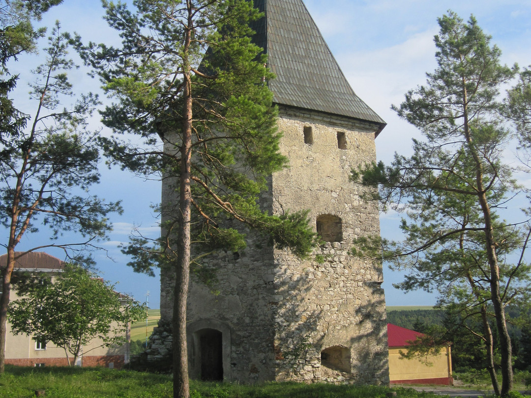 Castle Ruins at Kryvche-Kryvche必去景点