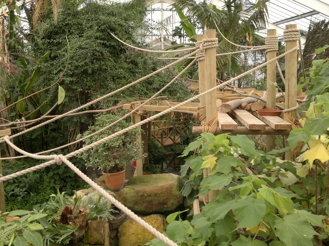 Woodside Wildlife Park景点图片