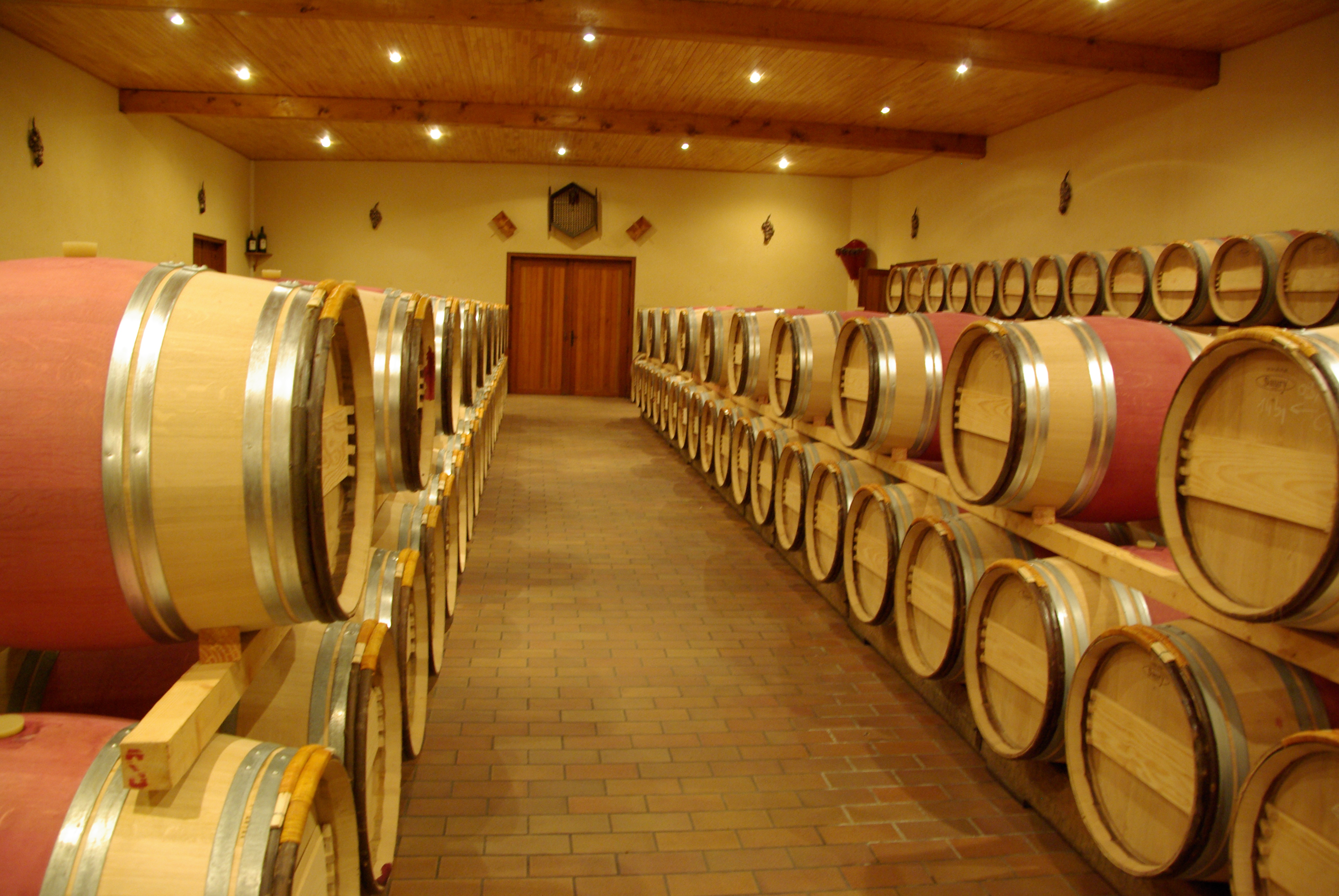 Chateau Cap Leon Veyrin-餐饮