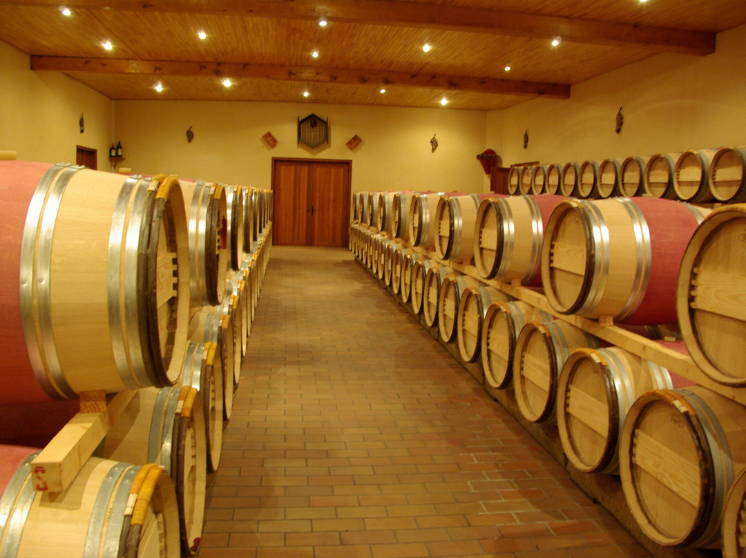 Chateau Cap Leon Veyrin主图