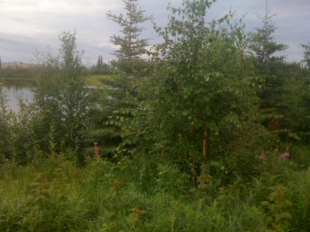 Wedgewood Wildlife Sanctuary-费尔班克斯必去景点