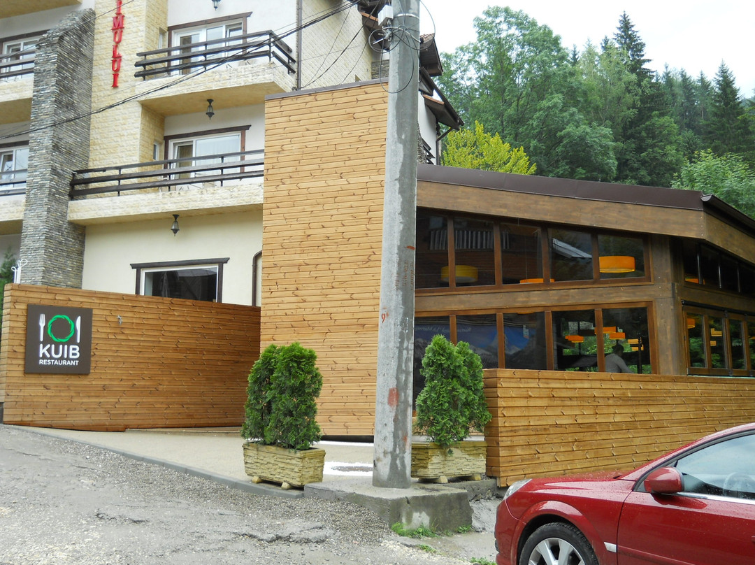 皮亚特拉索伊姆鲁酒店
