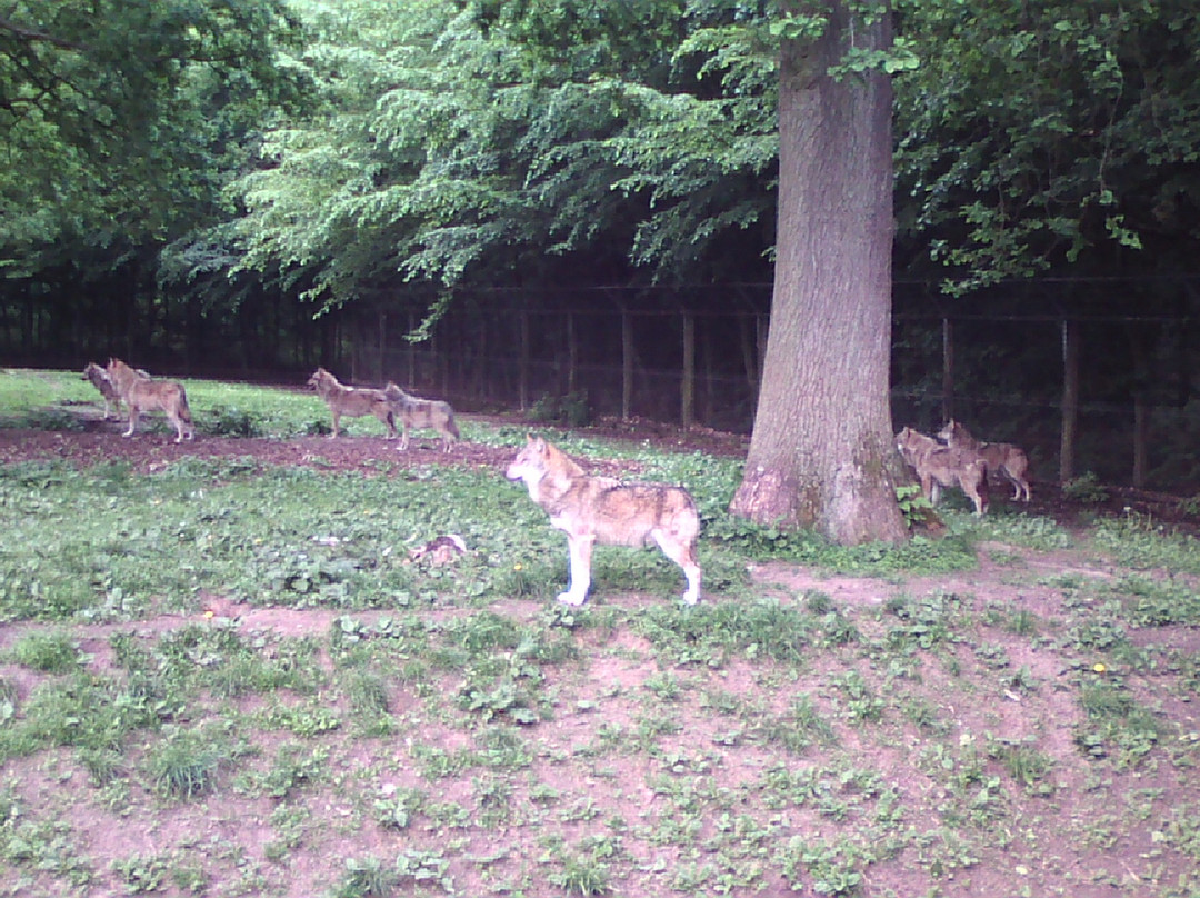 Tierpark Sababurg-Hofgeismar必去景点