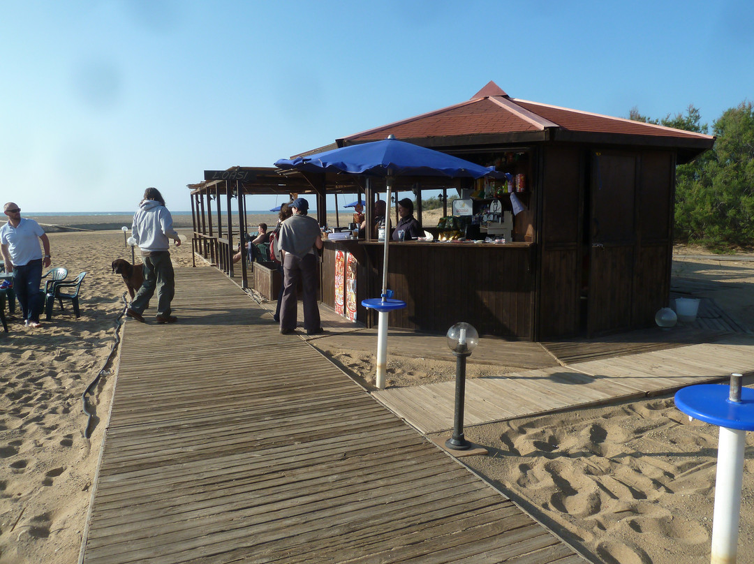 Spiaggia Le Dune di Piscinas-阿尔布斯必去景点