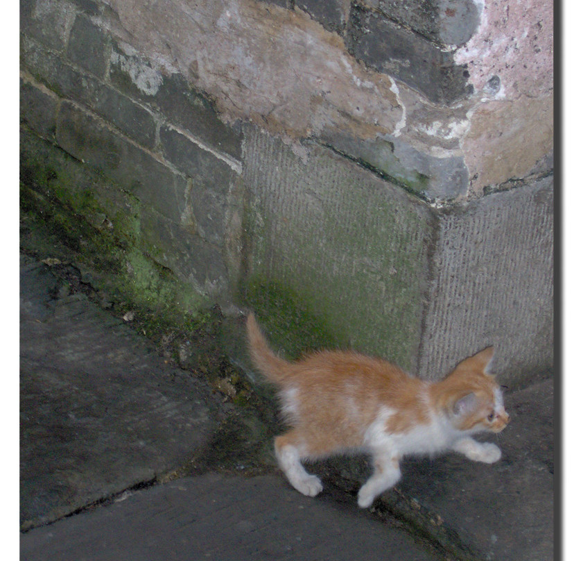 高椅村古建筑群-会同县必去景点