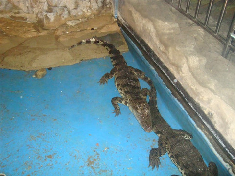 曲江海洋世界-西安市必去景点