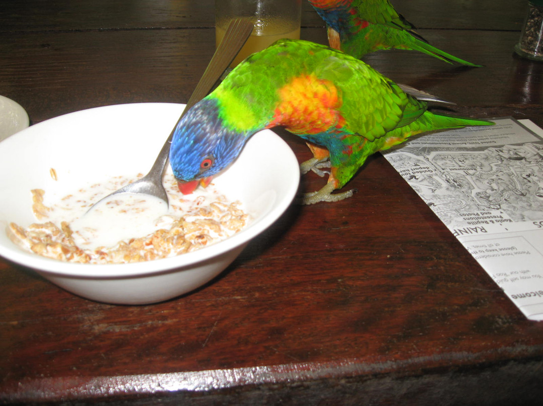 Wildlife Habitat Port Douglas-道格拉斯港必去景点