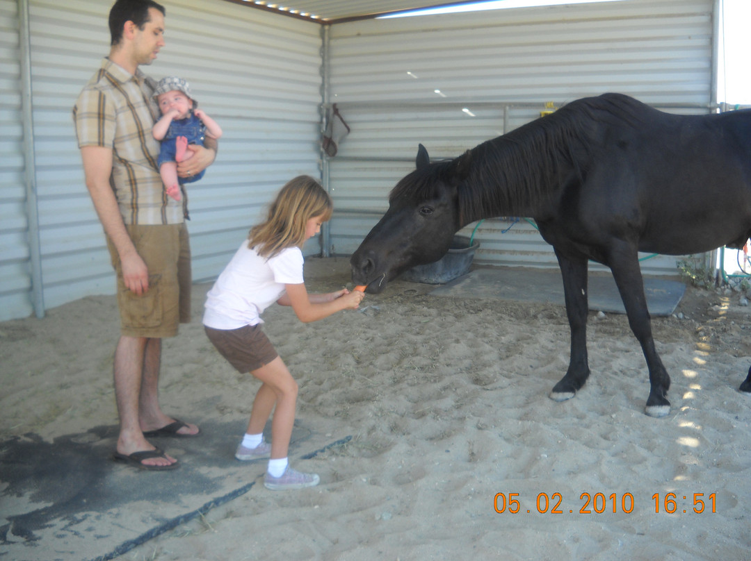 Ivey Ranch Equestrian Center-Thousand Palms必去景点