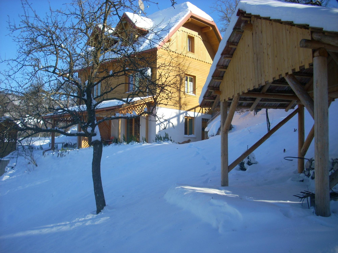 Apartmaji Koncilija
