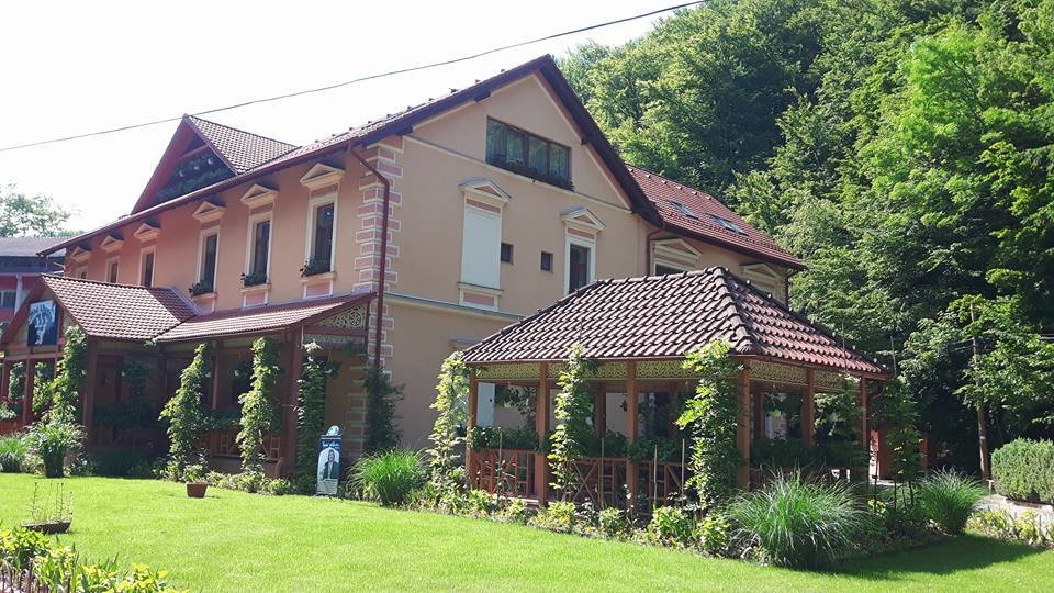 Vila Cerbul Albastru