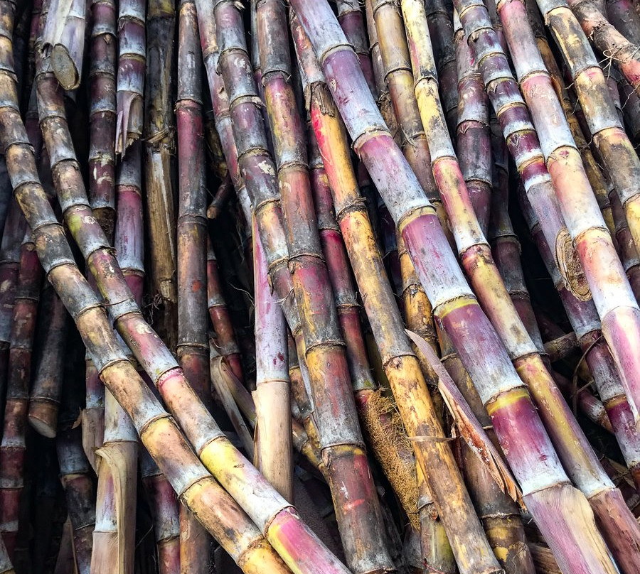 Les Delices de Siblet-Grand Bourg必去景点