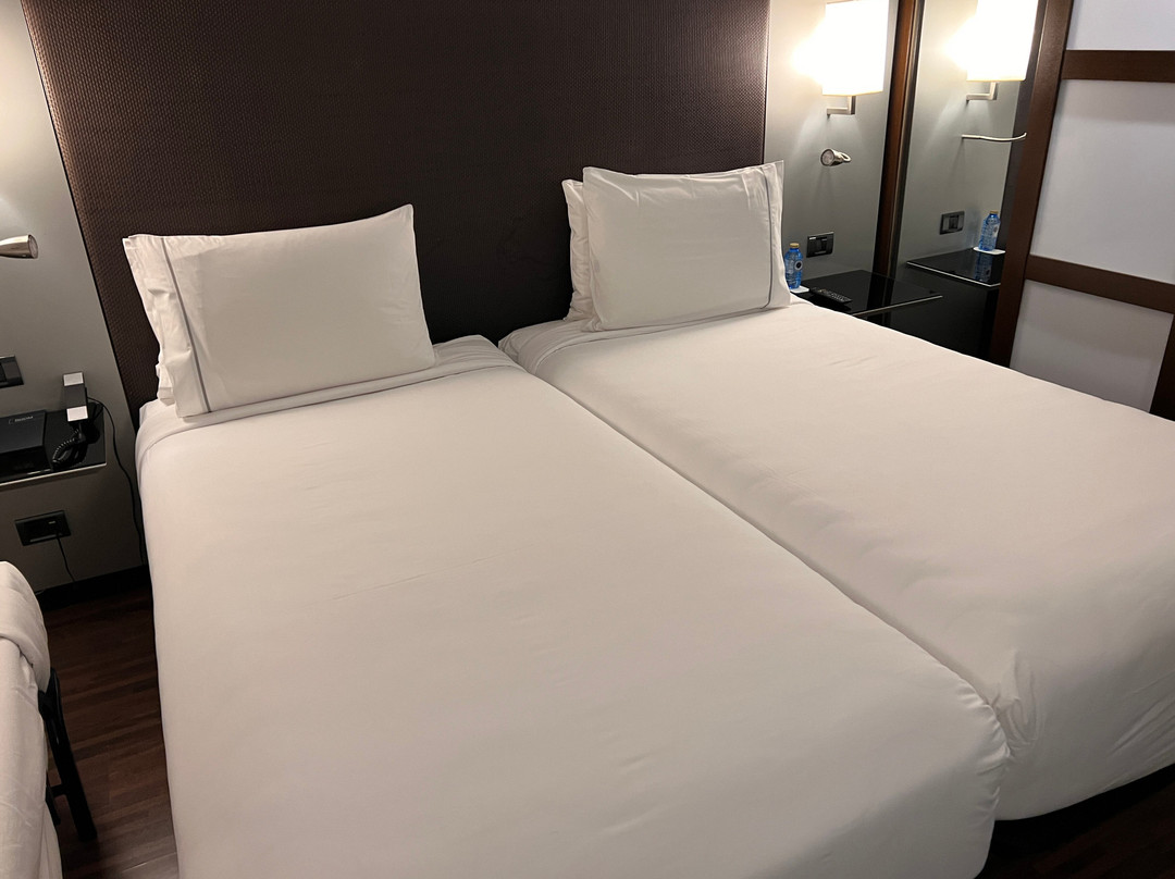 Ac Hotel San Sebastian De Los Reyes主图