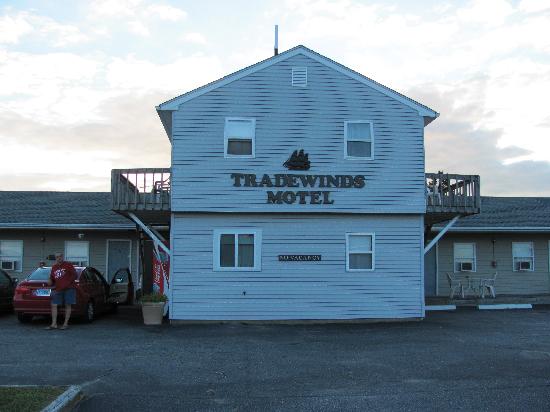 The Tradewinds Motel-酒店景观