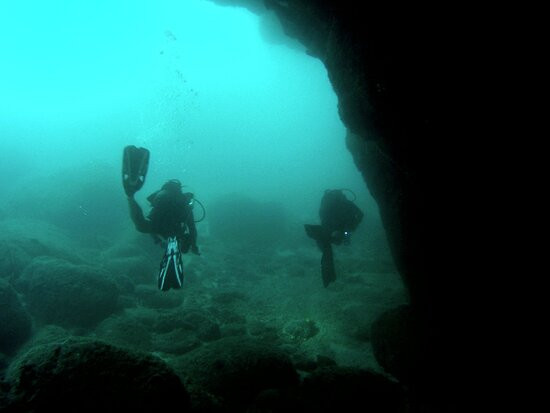 Ticabo Diving Centre-弗力克昂弗雷克必去景点