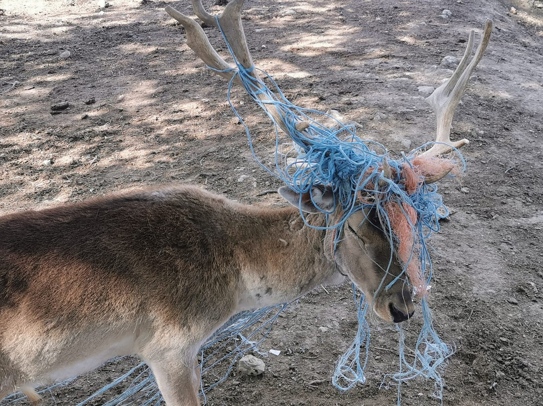 La Ferme Coudert-Vallerargues必去景点