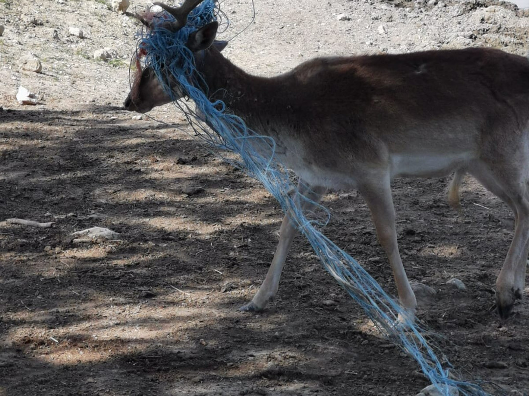 La Ferme Coudert-Vallerargues必去景点