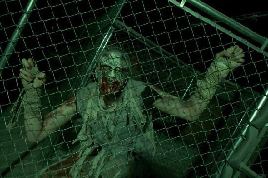 伦敦桥体验-伦敦必去景点