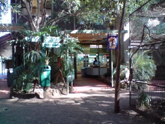 Featherdale Sydney Wildlife Park景点图片