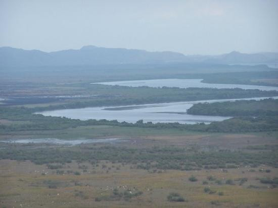Palo Verde National Park景点图片