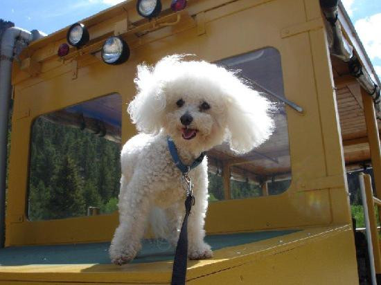 Denver & Rio Grande Railroad-South Fork必去景点
