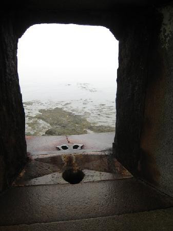 Fort Constitution State Historic Site景点图片