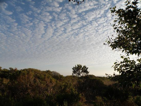 San Onofre Historic Beach Club-圣克莱蒙顿必去景点