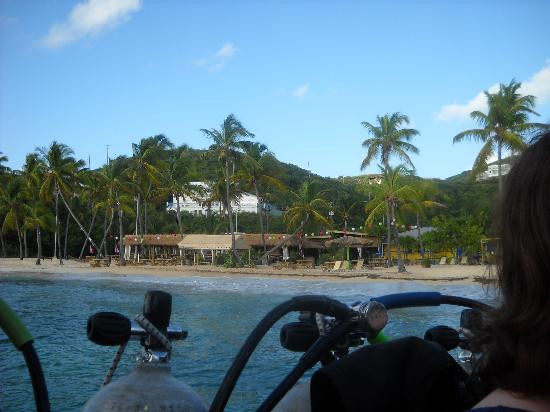 St. Thomas Dive Center-Bolongo Bay必去景点